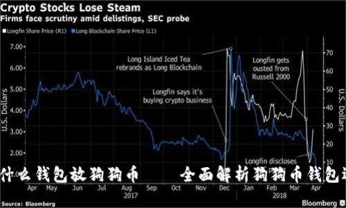  用什么钱包放狗狗币——全面解析狗狗币钱包选择