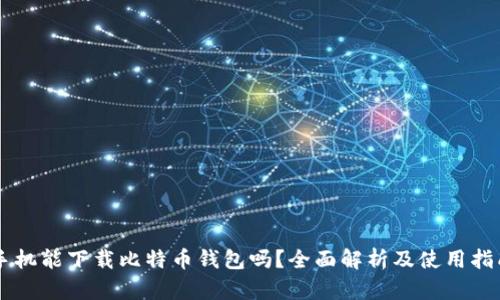 手机能下载比特币钱包吗？全面解析及使用指南