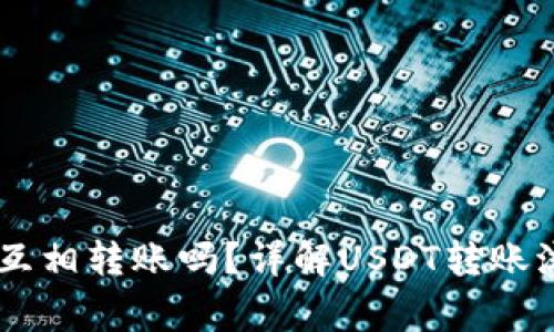 : USDT钱包能互相转账吗？详解USDT转账流程与注意事项