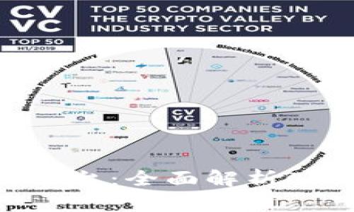 深入了解区块链平台：全面解析CSDN的角色与应用