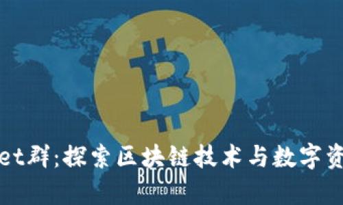 tpWallet群：探索区块链技术与数字资产管理