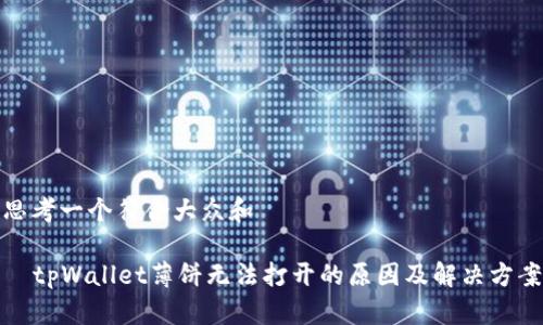 思考一个符合大众和   
  
  tpWallet薄饼无法打开的原因及解决方案